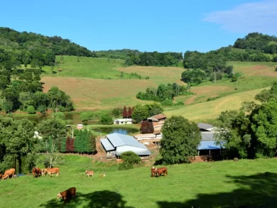 Projeto SC Rural 2 avança e deve impulsionar o desenvolvimento econômico no campo catarinense