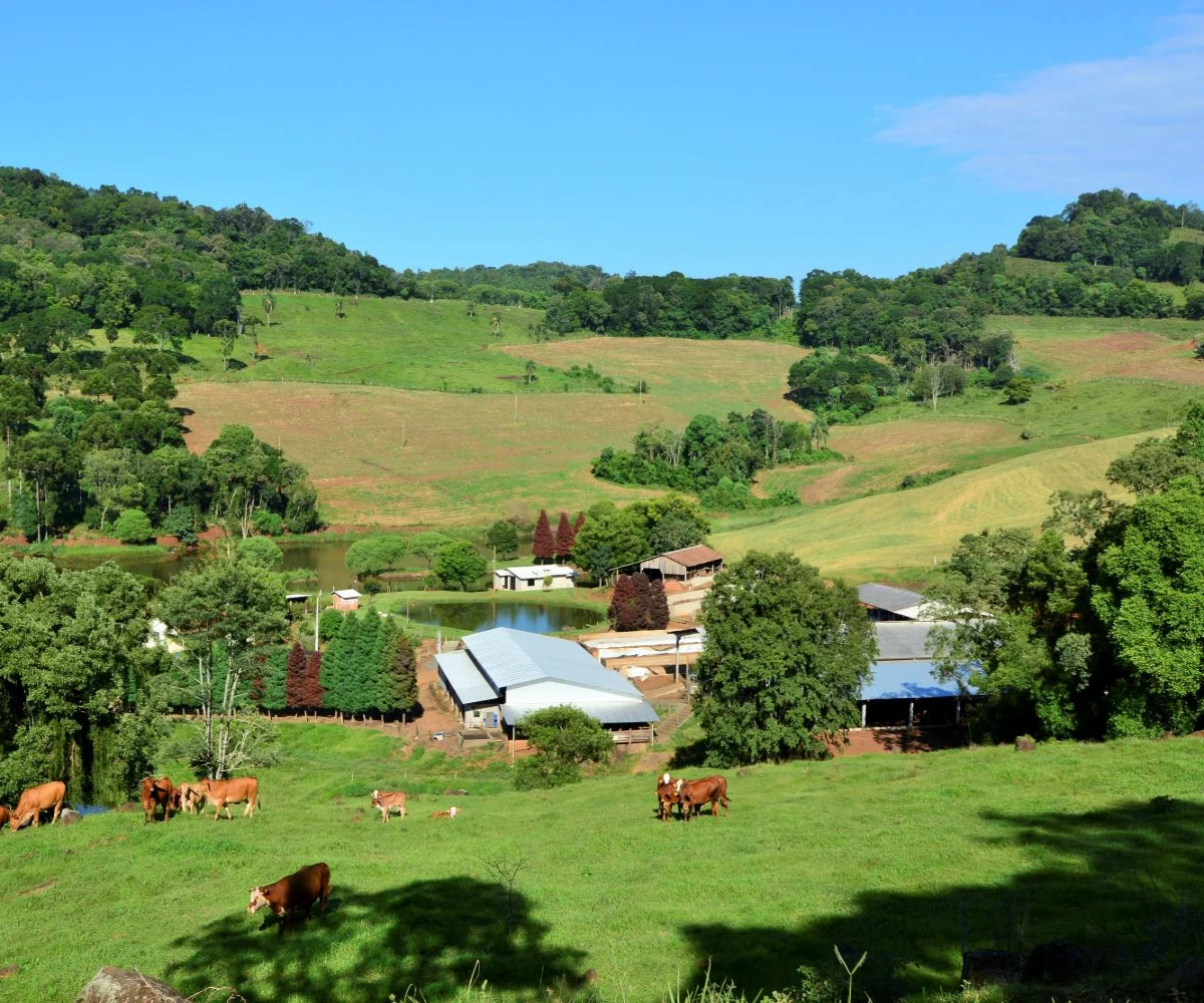Projeto SC Rural 2 avança e deve impulsionar o desenvolvimento econômico no campo catarinense