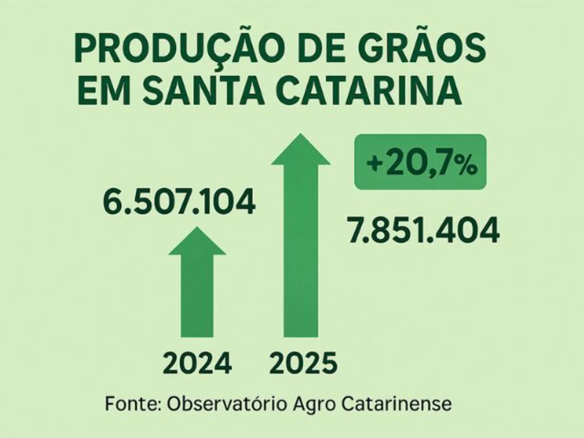 Agricultura catarinense alcança novos recordes na safra de grãos de 2025