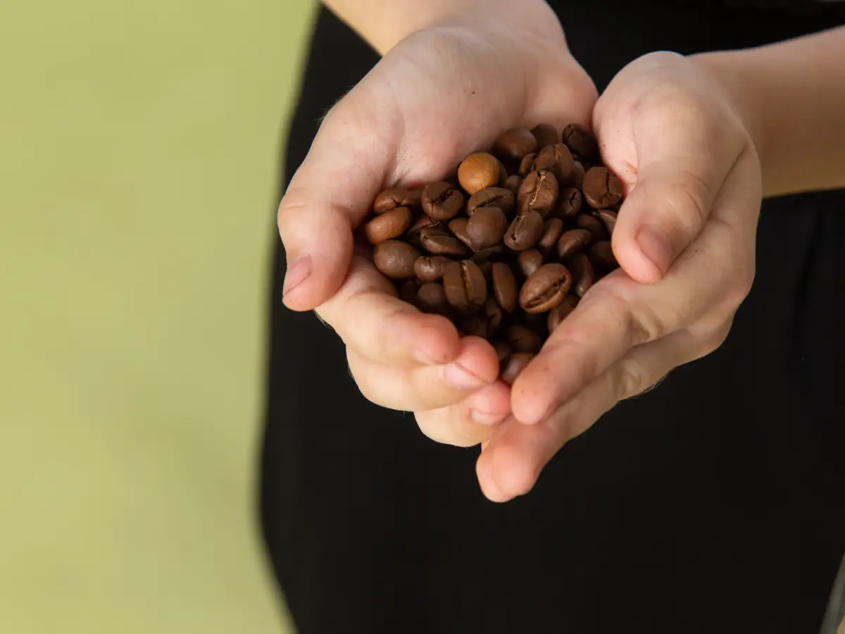 Enquanto os Estados Unidos impõem barreiras, a China abre portas para o café do Brasil