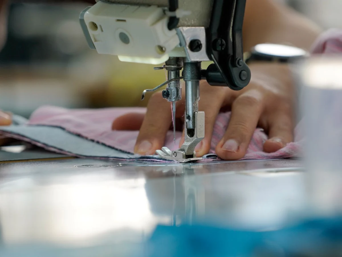 Economia criativa em Santa Catarina impulsiona mais de 180 mil empregos formais em 2025