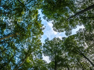 Floram investe na modernização da nova sede para fortalecer a gestão ambiental em Florianópolis