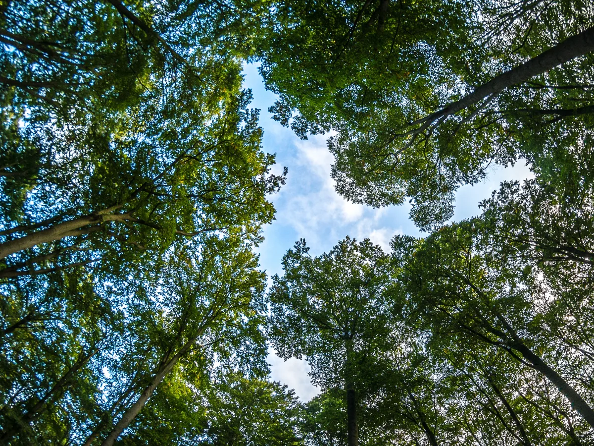 Floram investe na modernização da nova sede para fortalecer a gestão ambiental em Florianópolis