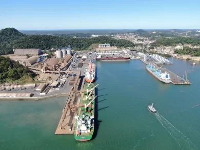 Exportações e importações impulsionam o crescimento do Porto de São Francisco do Sul