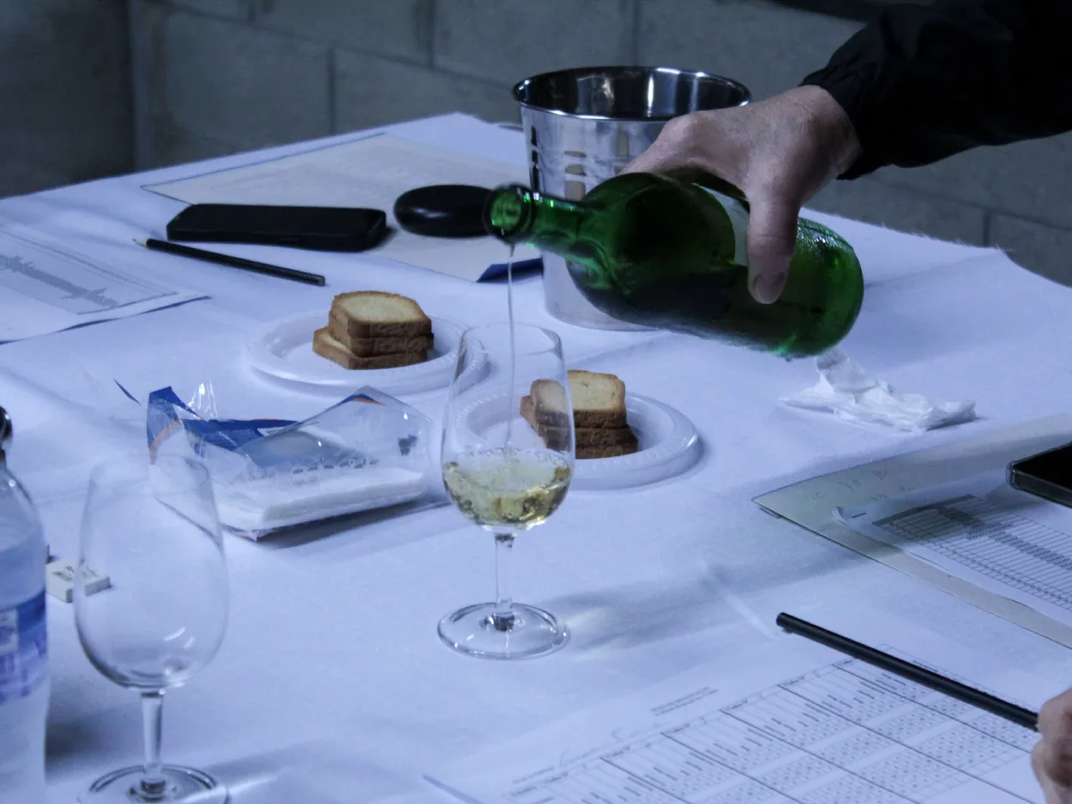 Avaliação Regional de Vinhos incentiva pequenos produtores a melhorar qualidade de seus produtos