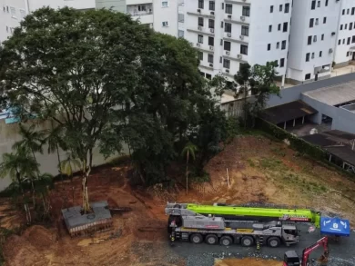 Transplante de árvore gigante em Blumenau garante sobrevivência de exemplar centenário