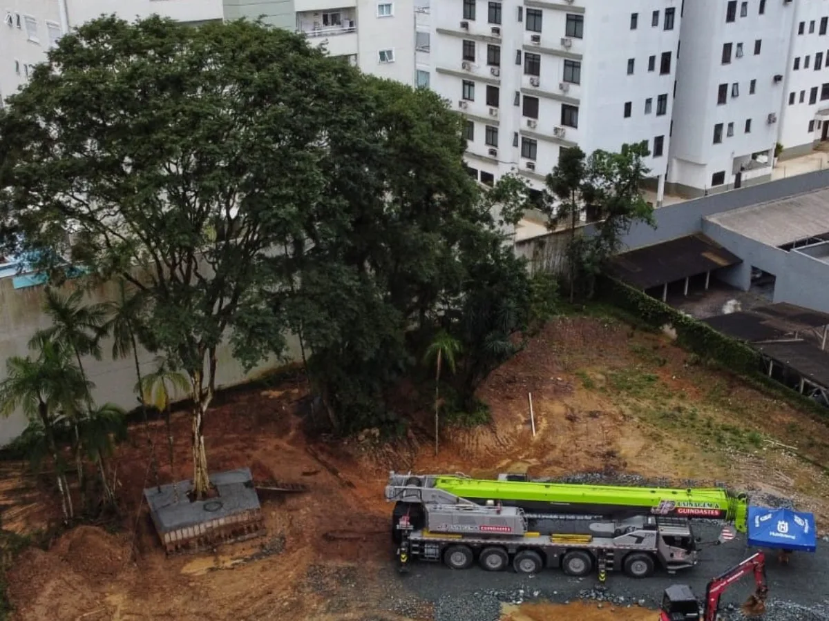 Transplante de árvore gigante em Blumenau garante sobrevivência de exemplar centenário