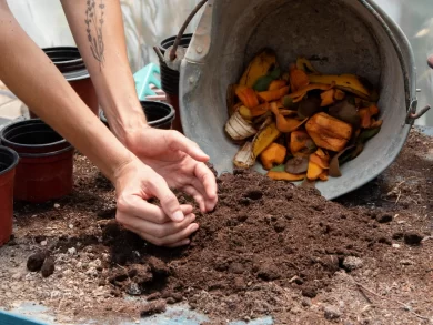 Programa de Compostagem Escolar pretende reduzir resíduos e incentivar a educação ambiental nas escolas