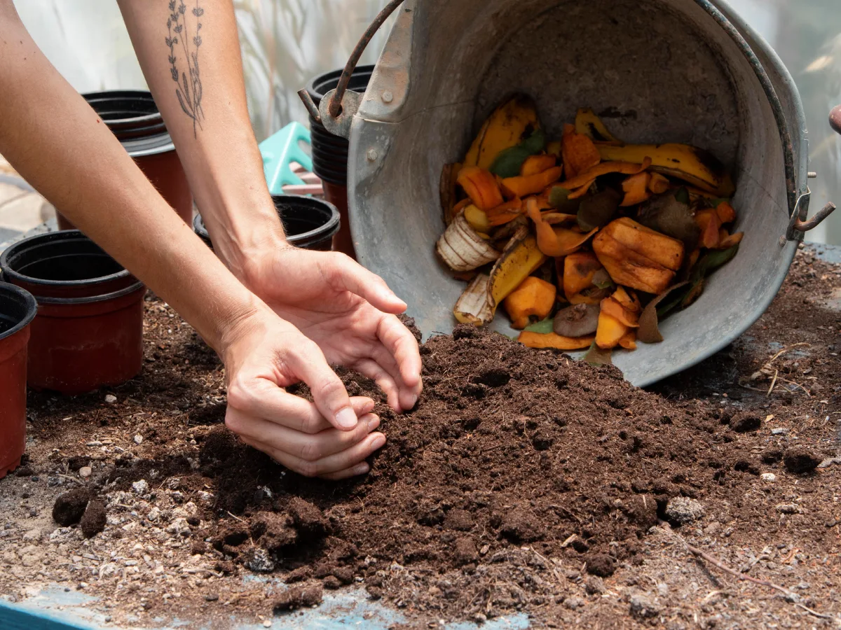 Programa de Compostagem Escolar pretende reduzir resíduos e incentivar a educação ambiental nas escolas