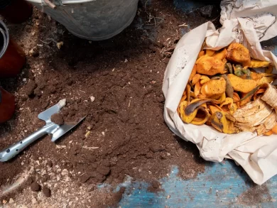 Prefeitura de Florianópolis oferece oficinas gratuitas de compostagem doméstica