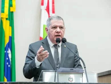 Deputados destacam preocupação com episódios trágicos envolvendo crianças em SC
