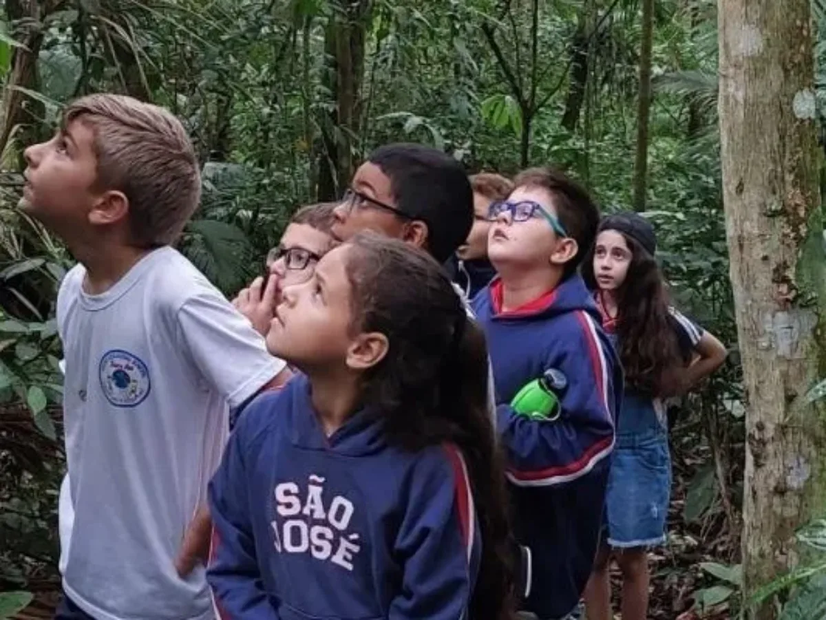 Escola do Meio Ambiente de São José transforma educação em ferramenta ambiental