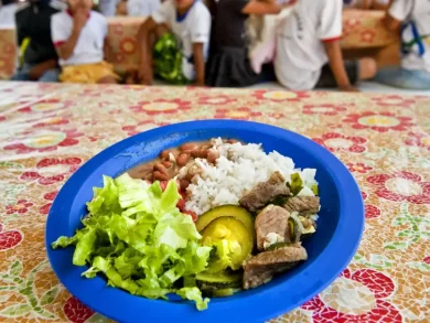Programa de alimentação escolar brasileiro completa 70 anos de referência mundial