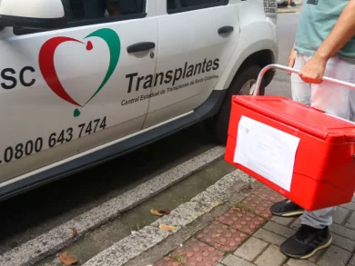 Doação e transplante de órgãos em Santa Catarina alcançam a maior taxa do país em 2025