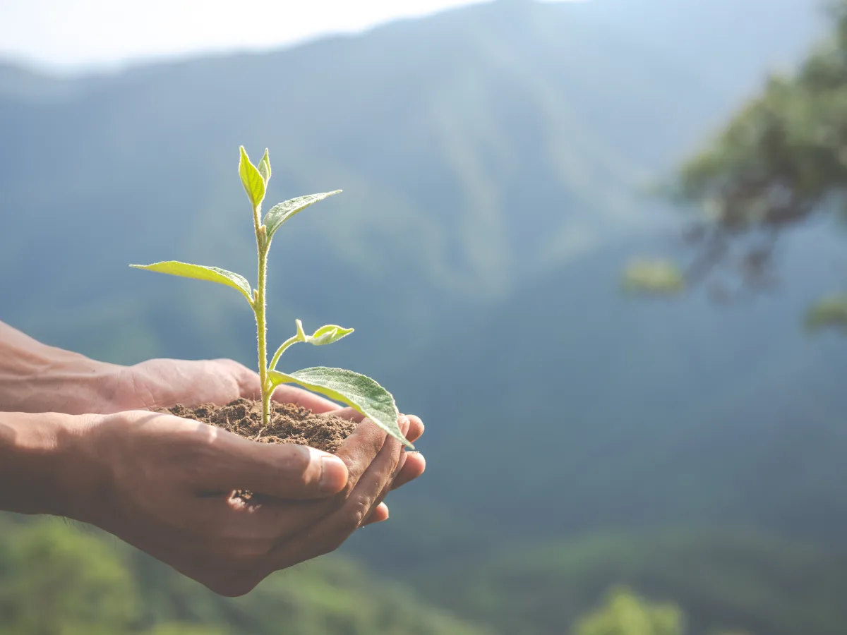 CREA-SC realiza o 11º Seminário de Sustentabilidade Ambiental em Florianópolis