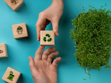 Prêmio PRESE reconhece projetos de sustentabilidade no setor de eventos de cultura e entretenimento