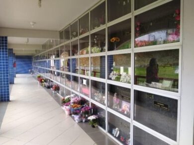 Setor funerário inova, cresce e tem foco sustentável