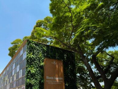 Grupo Maya promove acolhimento no Dia de Finados