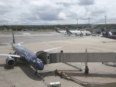 Avião cresce e supera ônibus em preferência para passeios em 2024