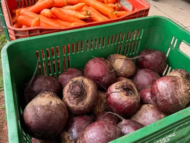 Banco de Alimentos garante alimentos de qualidade para famílias chapecoenses