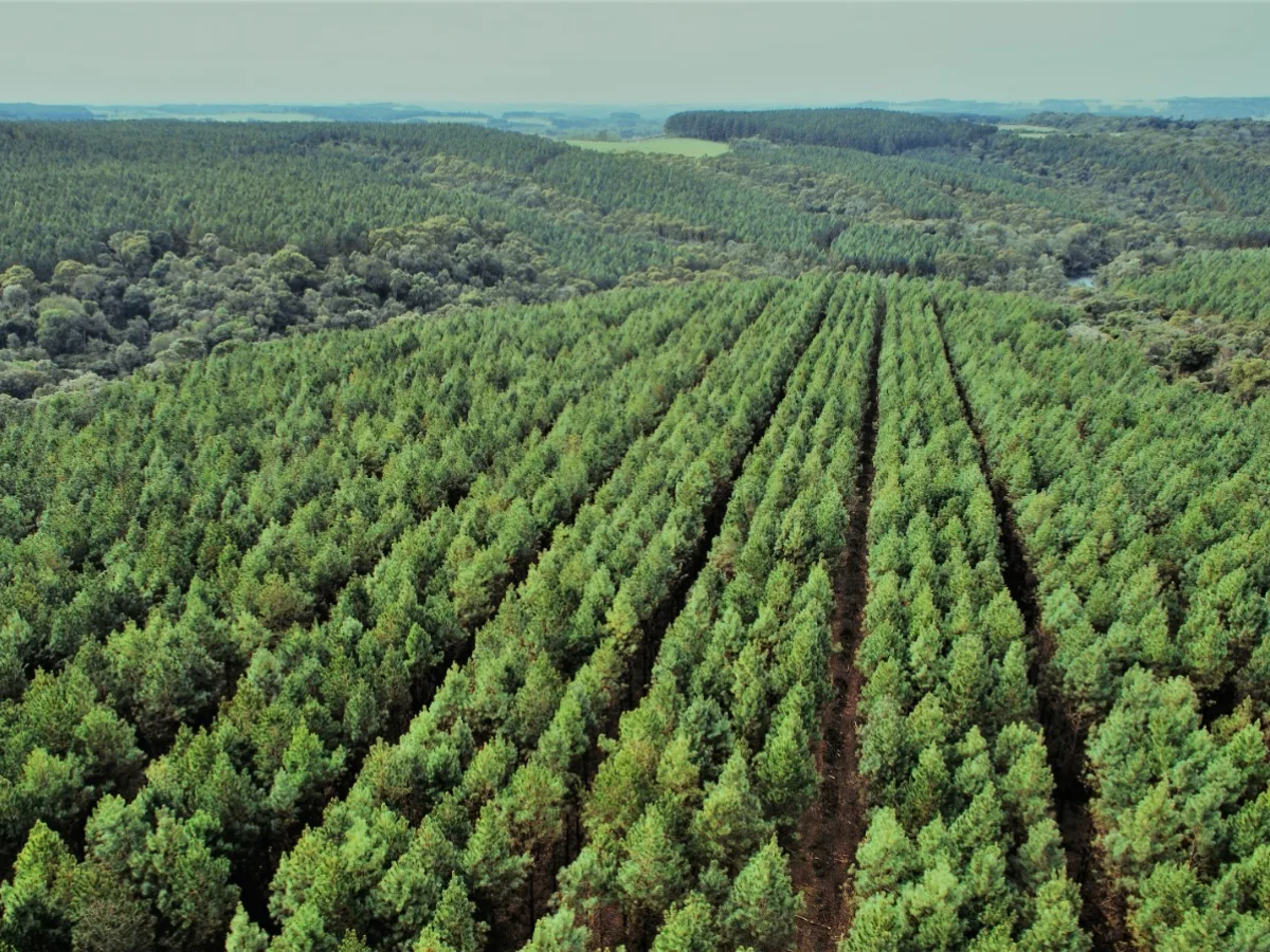 Concurso de Fotografia incentiva registros da natureza em Santa Catarina