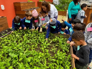 Escola de Balneário Camboriú promove hábitos saudáveis para crianças com projeto de nutrição e visita a horta comunitária