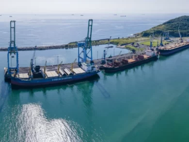 Porto de Imbituba registra crescimento recorde e fortalece comércio internacional