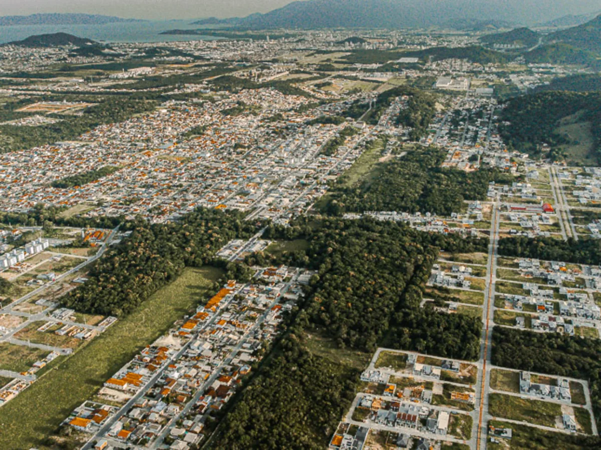 São José lança Plano Municipal de Arborização Urbana para aumentar áreas verdes