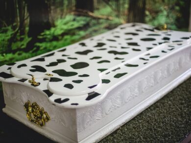 Especialistas reforçam acolhimento no luto por pets