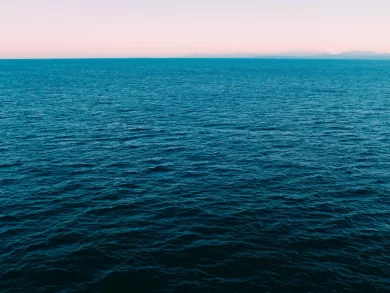 Pesquisadora da UFSC dará voz aos oceanos nas negociações da COP30
