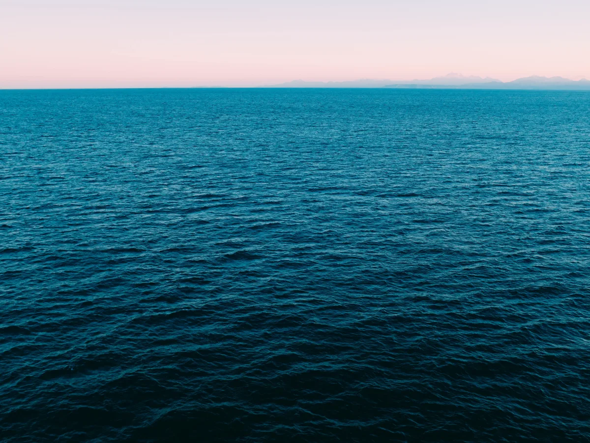 Pesquisadora da UFSC dará voz aos oceanos nas negociações da COP30