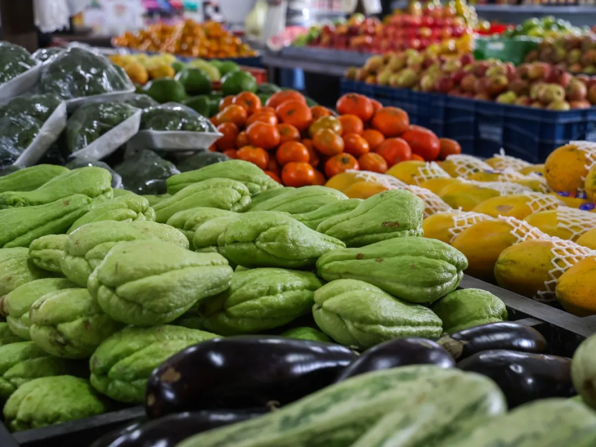 Santa Catarina lidera o país em segurança alimentar com mais de 90% dos domicílios