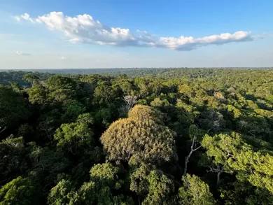 COP30 reúne líderes em Belém para discutir soluções para o clima global
