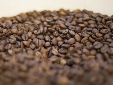 EUA anunciam corte nas tarifas para importação de café em breve
