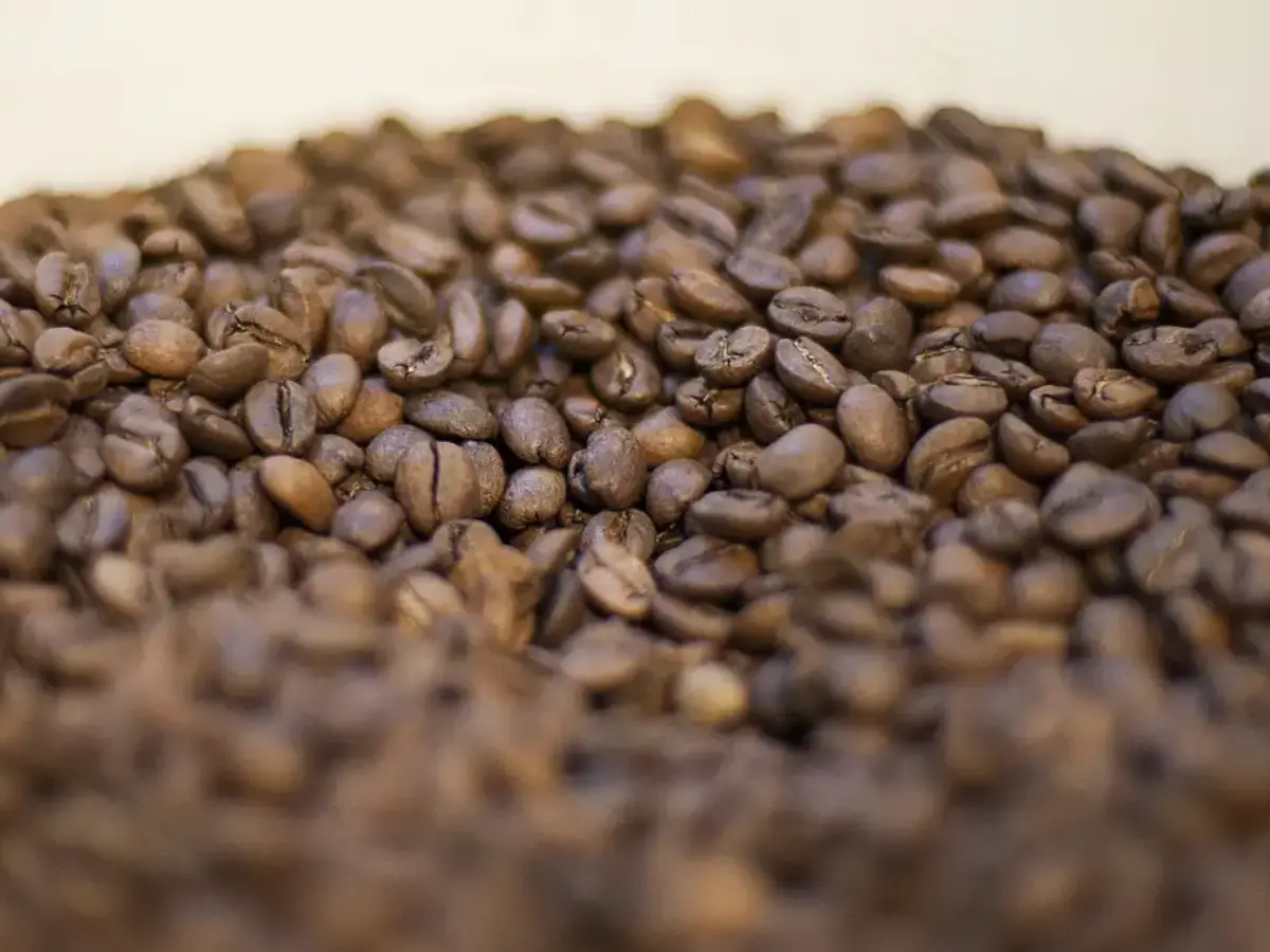 EUA anunciam corte nas tarifas para importação de café em breve