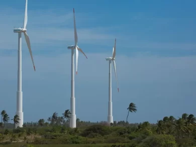 Financiamento climático dobra no Brasil e fortalece ações sustentáveis