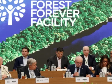 Brasil amplia o fundo para florestas tropicais com apoio internacional