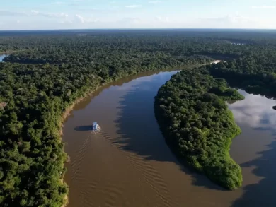 Redução do desmatamento na Amazônia atinge o menor índice em 17 anos