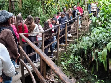 Seminário Impacto Futuro discute soluções e oportunidades sobre questões ambientais e climáticas em SC