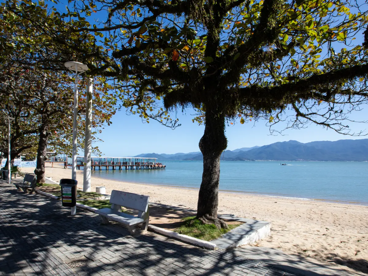 ACIF lança site da “Rota das Ostras” e fortalece turismo e economia do Ribeirão da Ilha