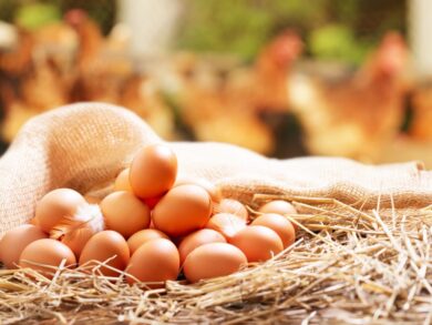 Giraffas reforça norma de uso obrigatório de ovos cage-free