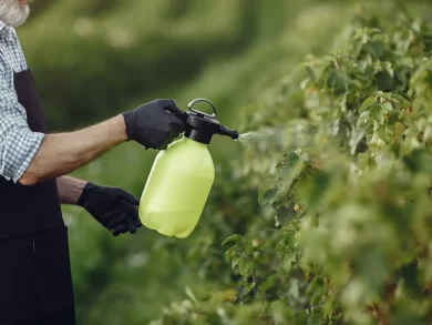 Entidades apontam o agronegócio como responsável por contaminações com uso de agrotóxicos