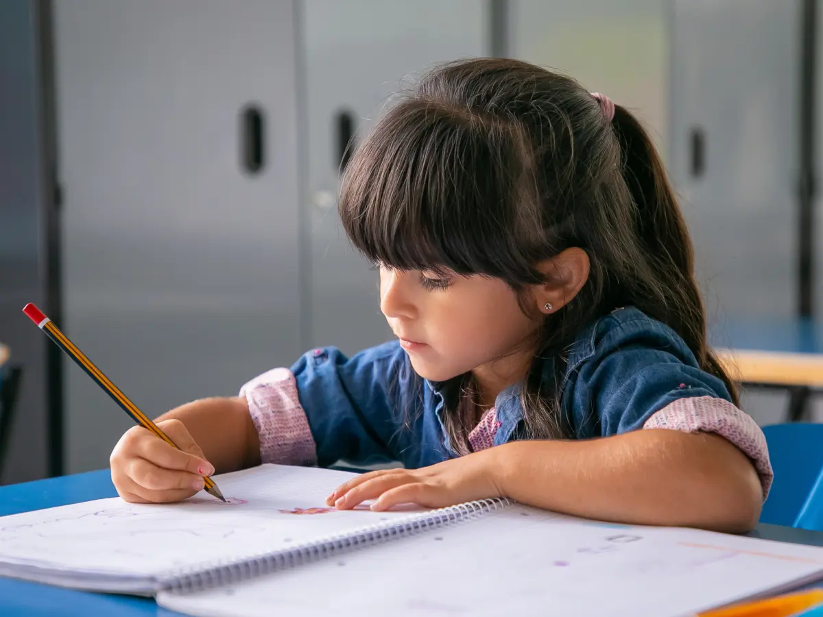 Eleição desta quinta-feira define quem vai dirigir as escolas e creches de Florianópolis