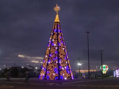 São José inicia o Natal Iluminado com destaque para a árvore e Casa do Papai Noel