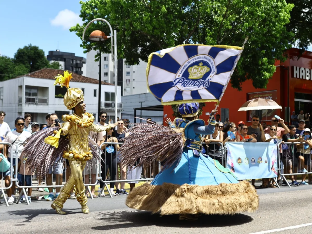 Príncipes do Samba conquista o 14º título do carnaval de Joinville 