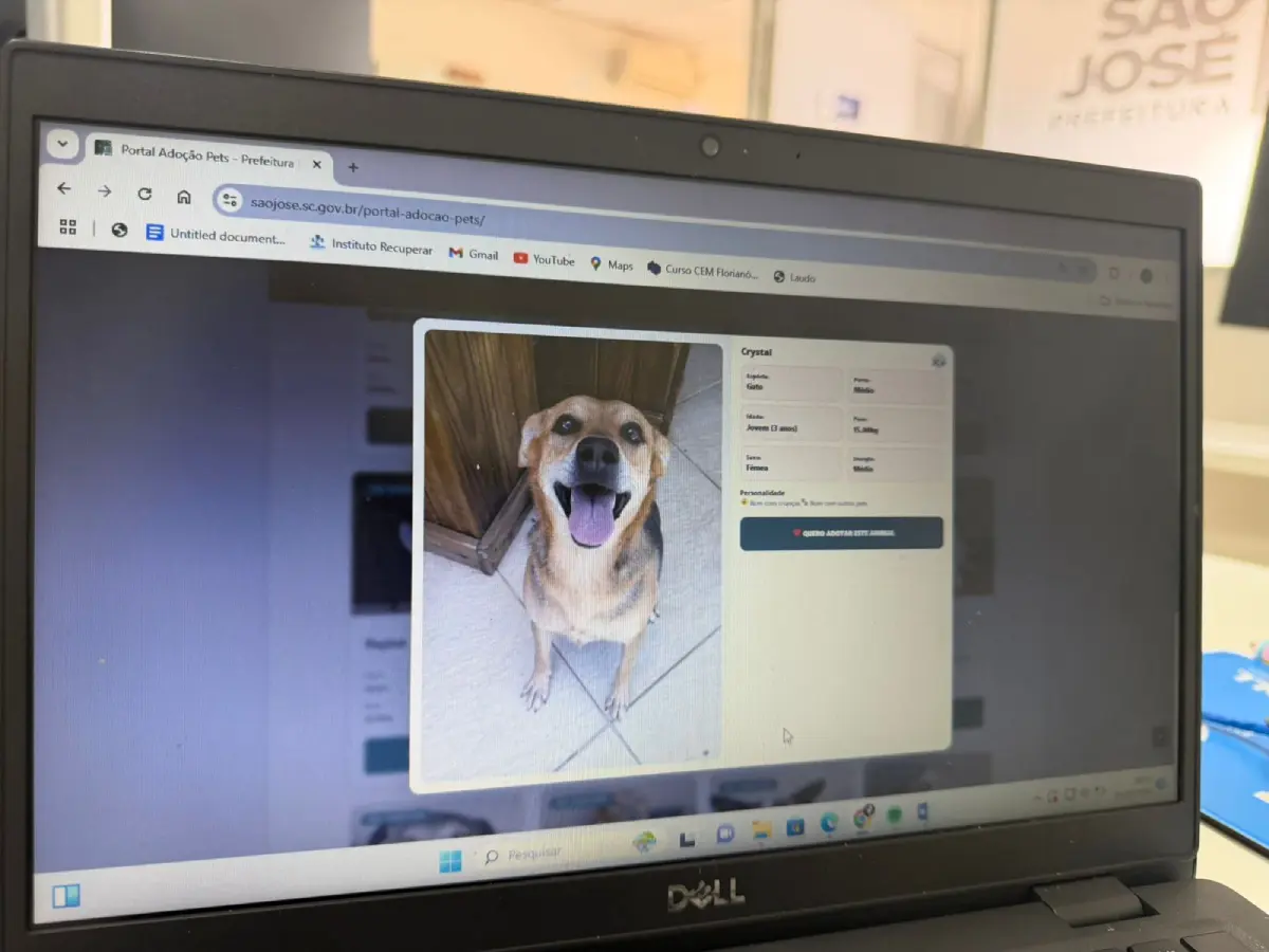 Prefeitura de São José disponibiliza Portal de Adoção de Pets