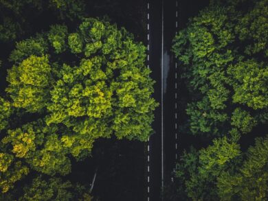 Empresas se adaptam às novas exigências de sustentabilidade