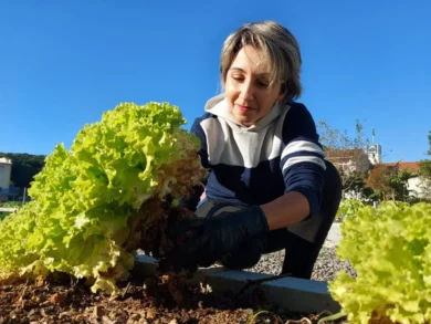 Programa Horta Solidária reconhece iniciativas com Selo Verde em São José