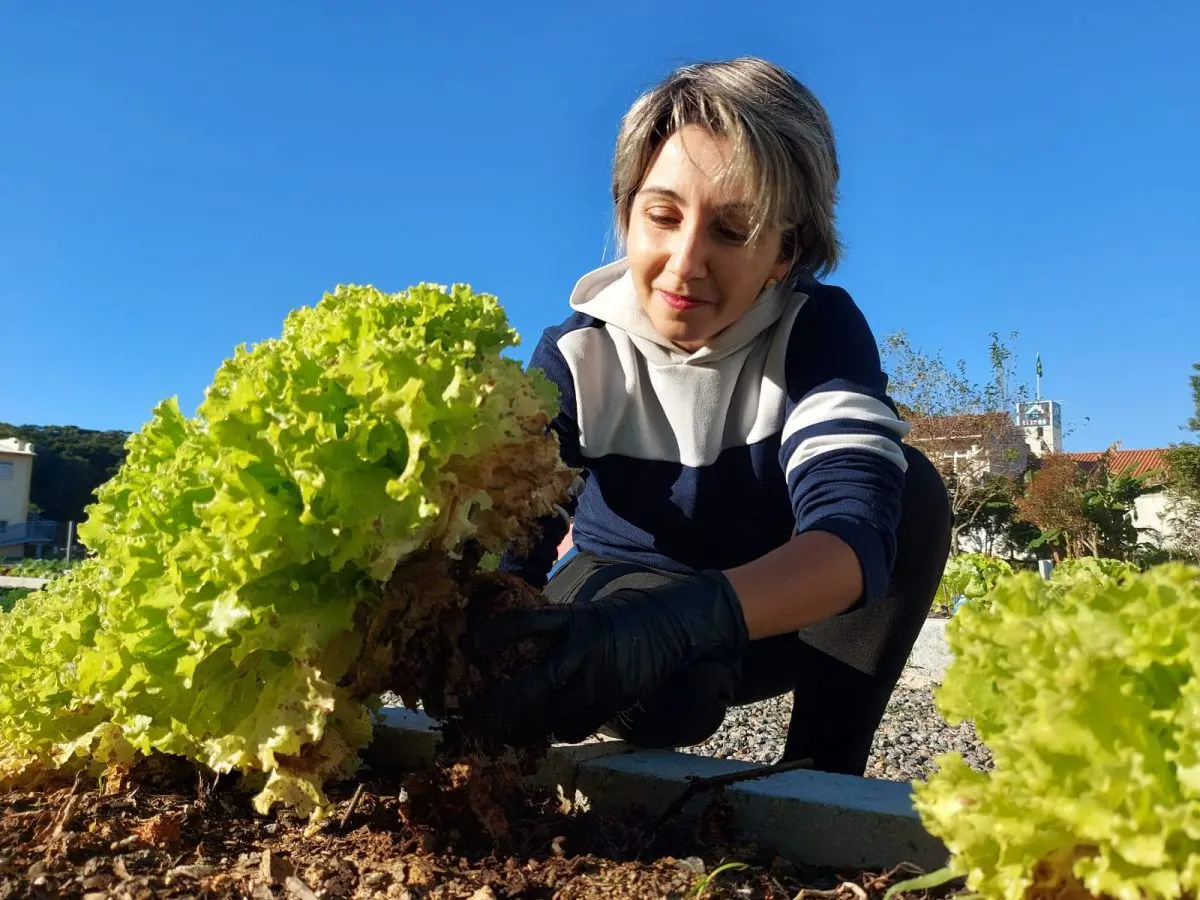Programa Horta Solidária reconhece iniciativas com Selo Verde em São José