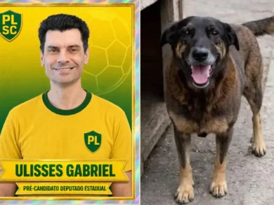 Caso orelha